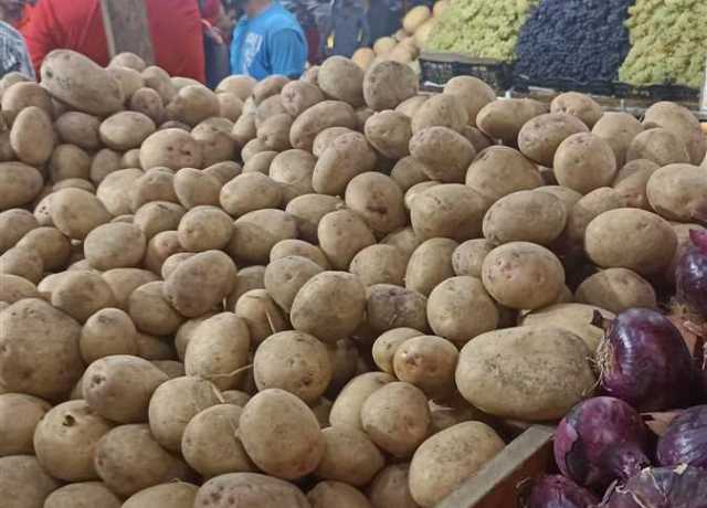 البطاطس تبدأ من7 لـ9.. أسعار الخضراوات والفاكهة اليوم الثلاثاء 18 يوليو 2023 في سوق العبور
