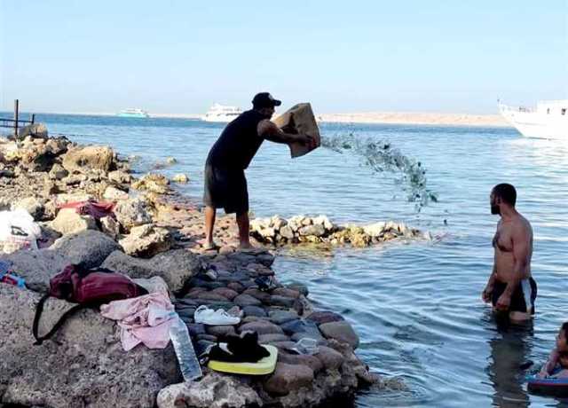 النيابة تحقق مع المتهم بإلقاء «كسر زجاج» بأحد شواطئ الغردقة