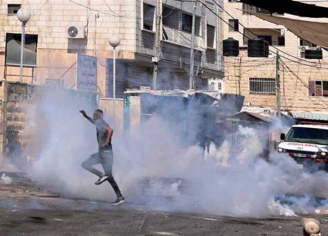 مندوب فلسطين بمجلس الأمن يطالب بحماية الشعب الفلسطيني