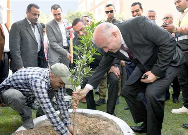 تعرف على جهود الإسكندرية وسوهاج في «١٠٠ مليون شجرة»
