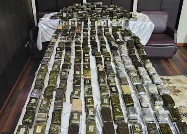 وفقا للقانون.. 6 جهات مصرح لها بجلب وتصدير المواد المخدرة تعرف عليها