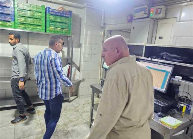ضبط 1.3 طن مقطعات لحوم ودواجن وكفتة غير صالحة للإستهلاك في الجيزة