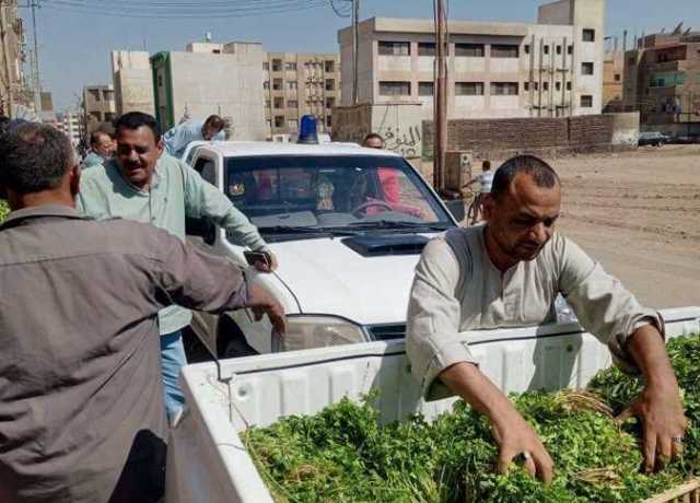 حملة مكبرة لرفع الإشغالات وتحرير محاضر للمخالفين في قنا