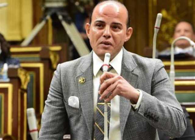 نائب: جميع مؤسسات الدولة تدعم القطاع الخاص بحزمة تشريعات وقرارات غير مسبوقة