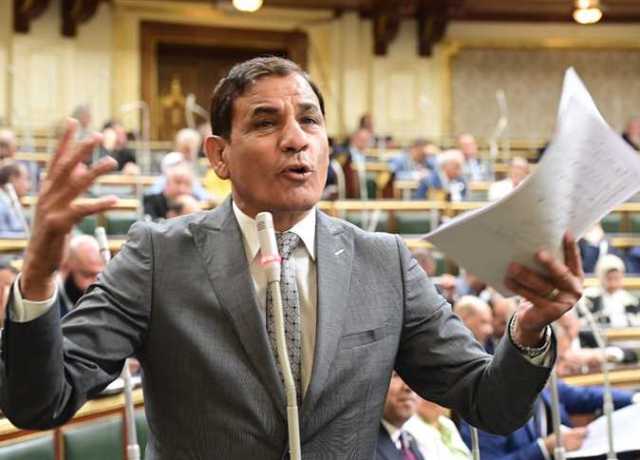 رئيس «برلمانية الوفد»: هناك معوقات تواجه الإستثمار والمستثمرين