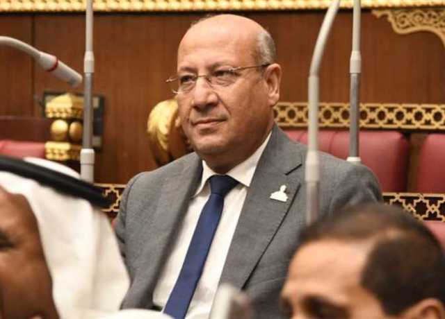 عضو بـ«الشيوخ»: حل الأزمة السودانية يستهدف الحفاظ على الأمن القومي لدول الجوار