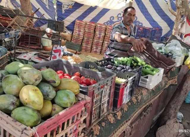 محافظ الوادى الجديد: توفير سلع ومواد غذائية بأسعار مخفضة