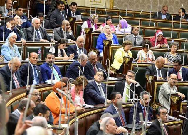 «النواب» يبدأ مناقشة «دعم صندوق قادرون باختلاف».. و«أبو العلا»: «التمويل عائق»