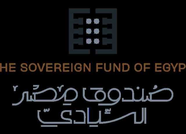 ما بين عروض تم ترسيتها وأخرى جارية.. الحكومة تكشف موقف 7 شركات في «برنامج الطروحات»