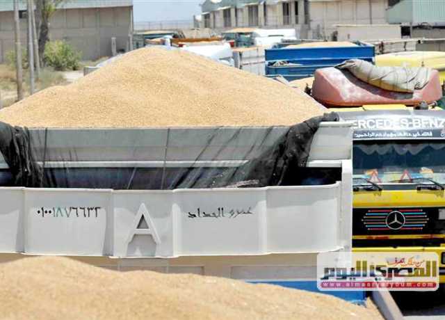 «التموين»: اتفاقية مع «أبوظبي للتنمية» للحصول على قرض 400 مليون دولار لتمويل مشتريات الحبوب