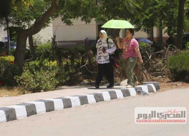 أستاذ اقتصاديات البيئة: تغيّر المناخ له تداعيات مؤثرة على العملية التنموية بالدول