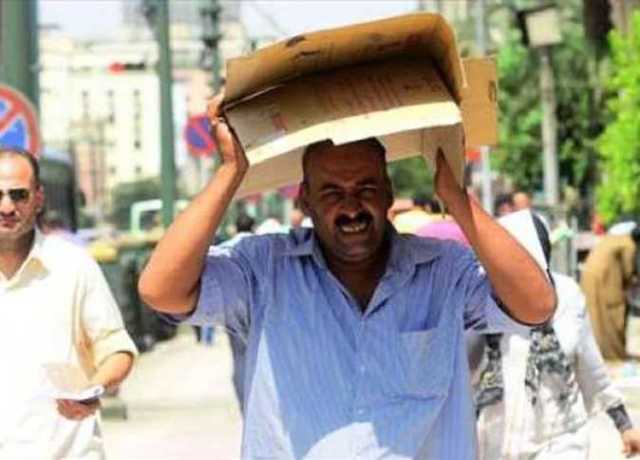 بـ5 جنيه.. «الزراعة» تقدم نصيحة للمواطنين لمواجهة الموجة الحارة