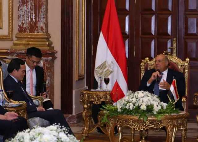 «رئيس الشيوخ» يستقبل وفد فيتنامي رفيع المستوى