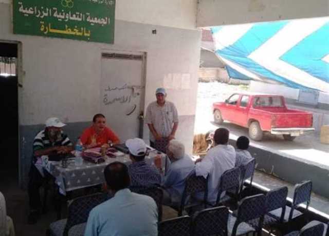 «العفن الهبابي بأشجار المانجو» في ندوة لمزارعي الخطارة بفاقوس