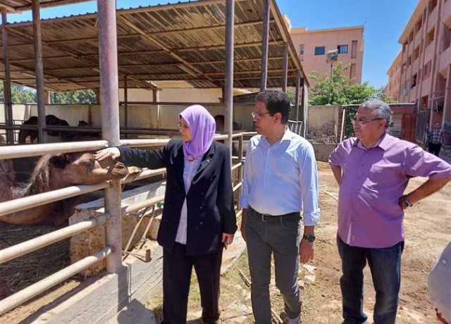 جامعة بنها: دعم الوحدات والمزارع بكليتى الزراعة والطب البيطري