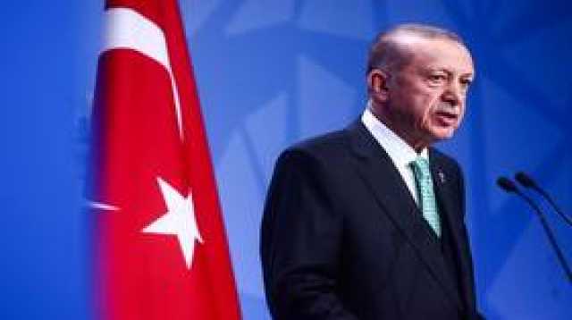 أردوغان: سنبيع 3 دول خليجية أصولا معينة في تركيا بما يراعي مصالحنا