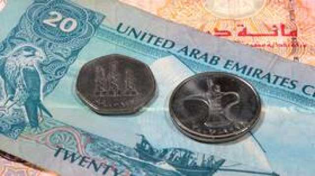 أكبر شركة شحن روسية: نستخدم الدرهم الإماراتي في تعاملاتنا التجارية