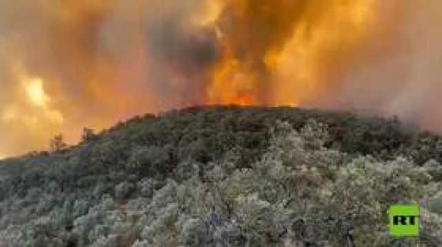 استنفار في المغرب عقب اندلاع حريق غابات مهول بإقليم تازة