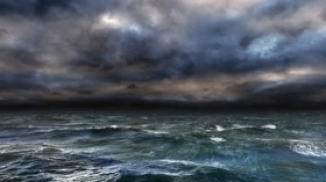 ماذا يحدث للحيوانات البحرية في المحيط أثناء الإعصار؟