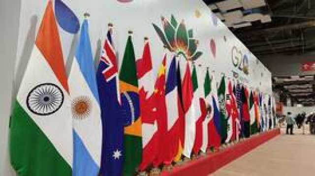 دبلوماسي مصري لـRT: حالة استقطاب دولي في قمة G20 متأثرة بغياب بوتين عنها