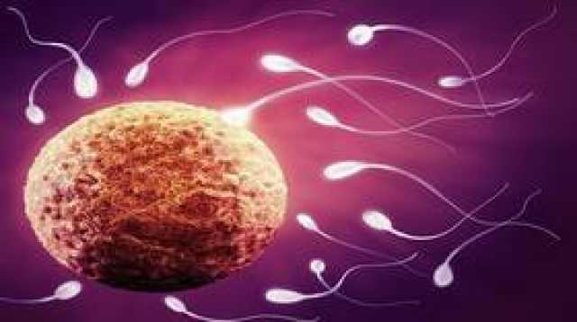 اكتشاف أحد الأسباب الكامنة وراء العقم عند الرجال