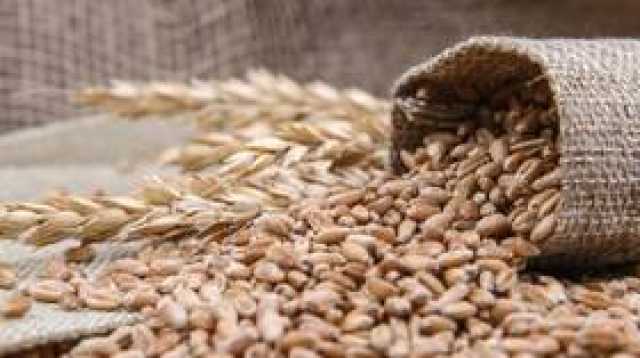 غوتيريش: استئناف صفقة الحبوب ليس له أي معنى