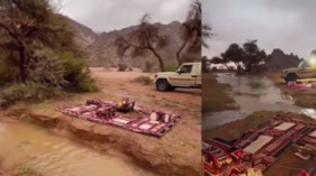 السعودية.. 'ضيف غير متوقع' يخرب الإفطار على مجموعة من المواطنين في البر (فيديو)