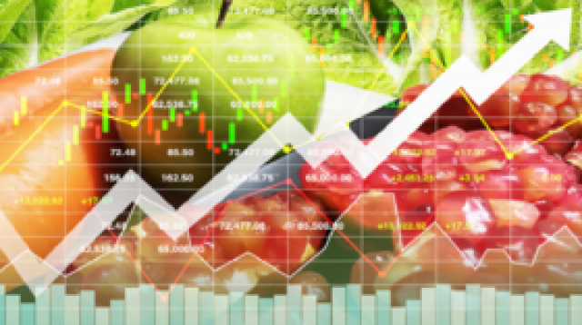دراسة ألمانية تحذر من 'كارثة عالمية' تؤدي لارتفاع أسعار المواد الغذائية