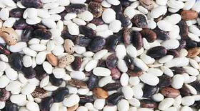 فوائد الفاصولياء بأنواعها الثلاثة