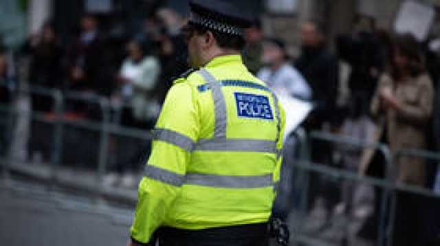 بريطانيا.. 'لص البيض' السبعيني في قبضة الشرطة للمرة الثالثة (فيديو+صور)
