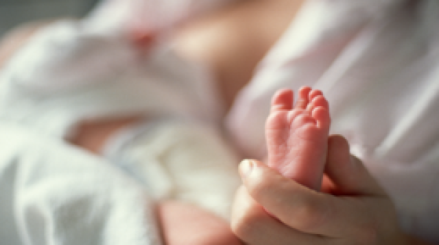 اكتشاف آلية انتقال 'المواد الكيميائية المسرطنة' من الأم إلى طفلها