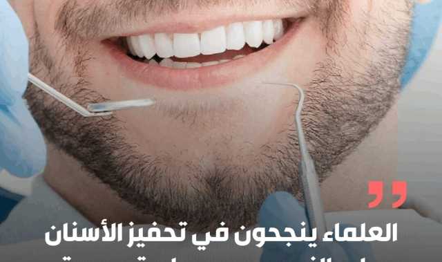 علماء ينجحون في تحفيز نمو الأسنان من جديد وفق دراسة حديثة