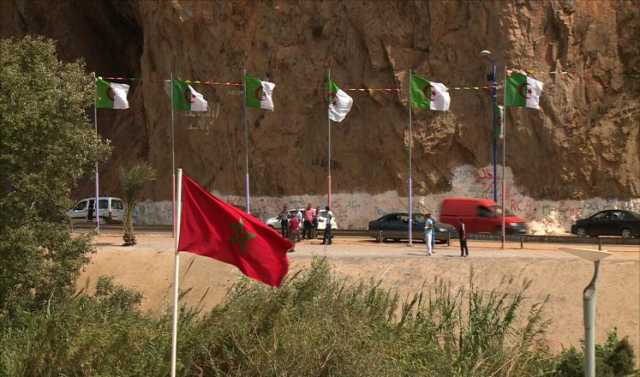 مسرحية جديدة.. نظام تبون يتهم المغرب بتصدير الحشرة القرمزية إلى الجزائر
