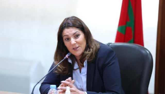 المنصوري: لا مكان للوبيات العقار في برنامج دعم السكن