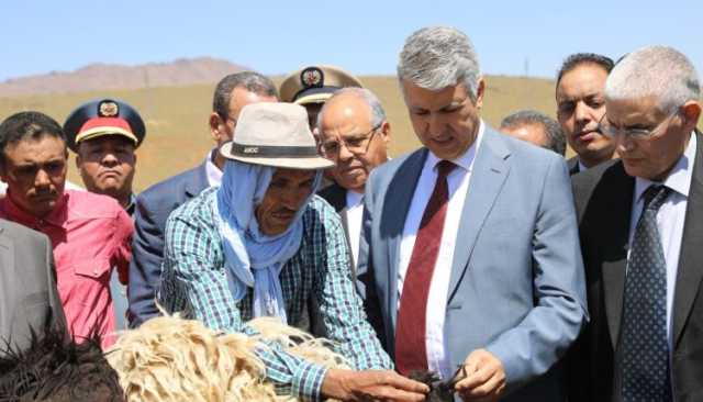جذري الأغنام يفتك بالماشية في جهة فاس مكناس والكسابة يبحثون عن وزير الفلاحة