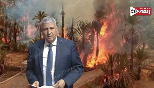 في ظل تراجع إنتاج التمور وارتفاع الإستيراد لتأمين حاجيات رمضان.. حريق يأتي على أكبر واحات المغرب