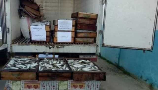 درك طرفاية يحبط تهريب 11 طنا من الأسماك الفاسدة