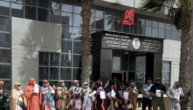 مطالب الإعفاء تلاحق المدير الجهوي للفلاحة بالداخلة بعد تفجر قضية 5 آلاف هكتار