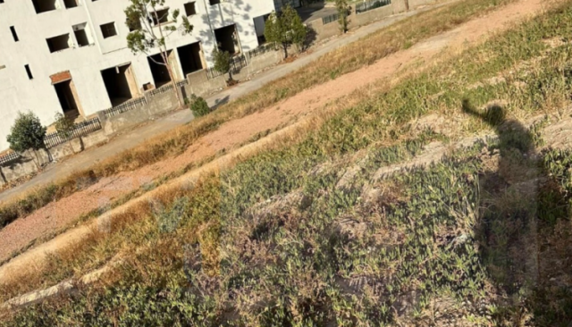 كلفت 1.9 مليار.. حديقة سيدي مومن بالدارالبيضاء تتحول إلى أرض جرداء
