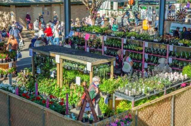النسخة الثانية من المعرض الدولي (Garden Expo) في نونبر القادم بالدار البيضاء