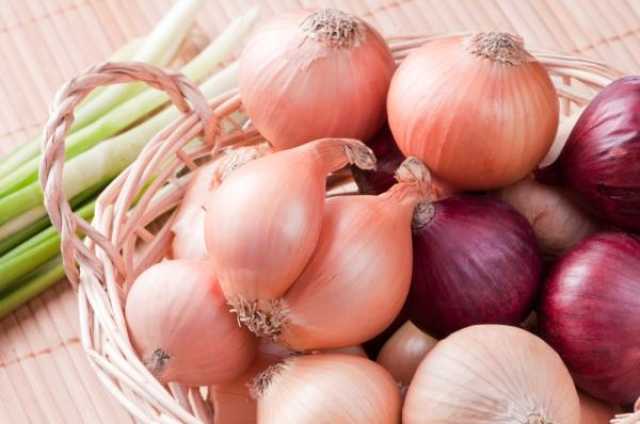 ألياف البريبايوتك يمكن أن تساهم في خفض الوزن