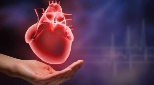 7 مؤشرات تدل على ضعف الدورة الدموية