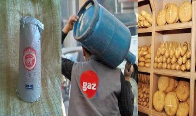 لقجع يؤكد عزم الحكومة رفع الدعم عن باقي المواد الاستهلاكية لكن بشرط..