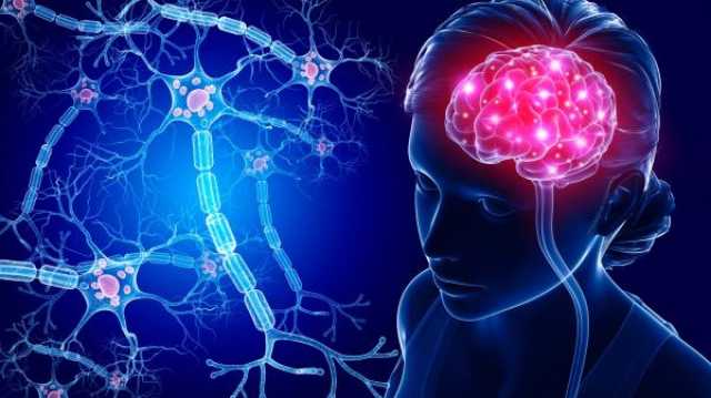 أفضل طريقة لتعزيز قوة دماغك بالدليل العلمي