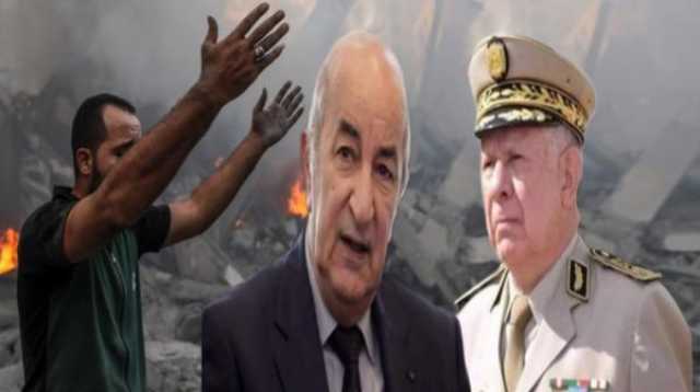 صحيفة جزائرية تقطر الشمع على نظام الكابرانات: المقاومة تحتاج للسلاح وليس رفع الأعلام