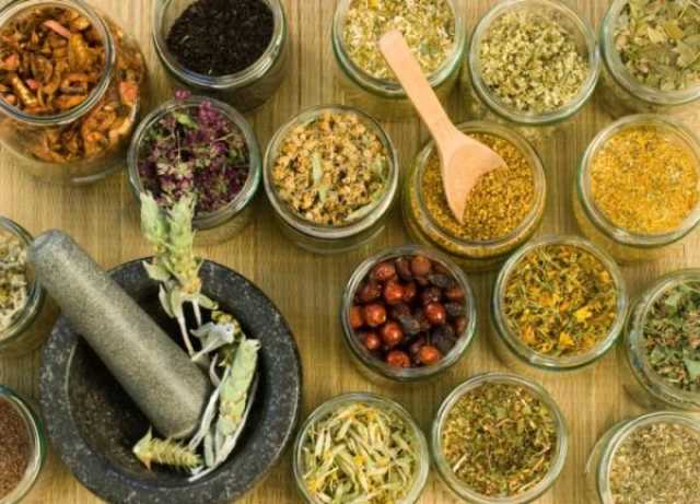 منظمة الصحة العالمية تفتتح قمتها الأولى حول الطب التقليدي