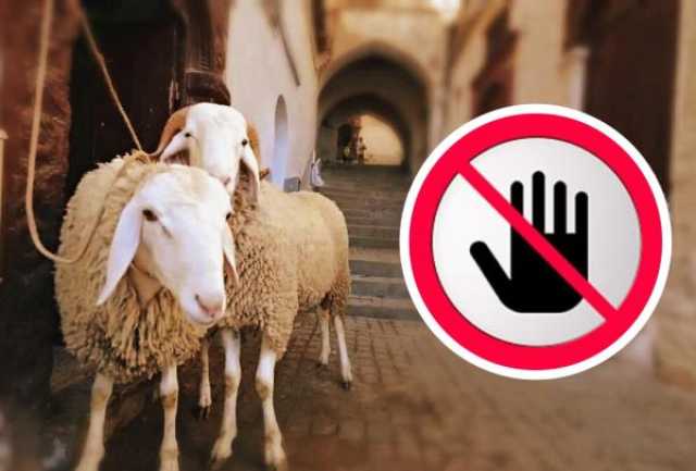 تزامنا مع العيد..دعوات تضامن تغزو مواقع التواصل قابلها وعي عال لفئات عريضة من المغاربة