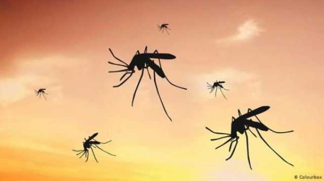 دراسة تكشف تأثير الألوان على جذب البعوض