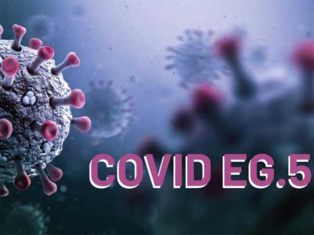مصر ترصد أول حالتي إصابة بمتحور كورونا الجديد EG 5.2