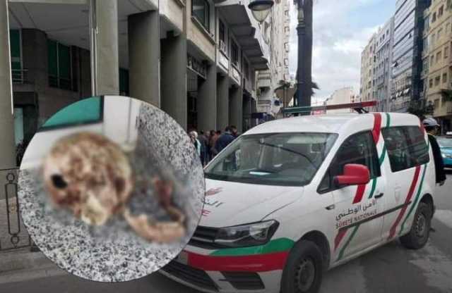في وقت وجيز.. أمن طنجة يتمكن من حل لغز الجمجمة المجهولة